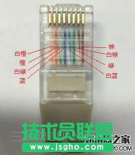_Ĳ鿴W