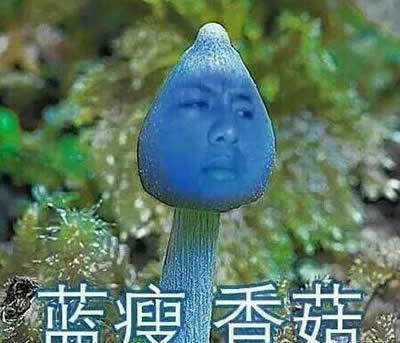 {(ln)㹽