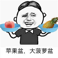ppap表情包 ppap表情包