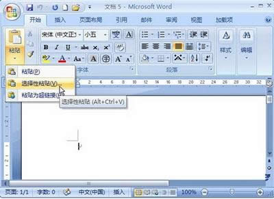 word2007 word2007