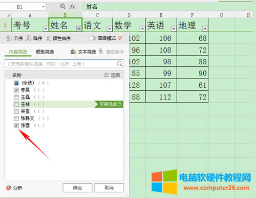WPS表格如何運用篩選與高級篩選