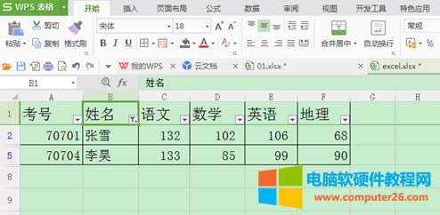 WPS表格如何運用篩選與高級篩選