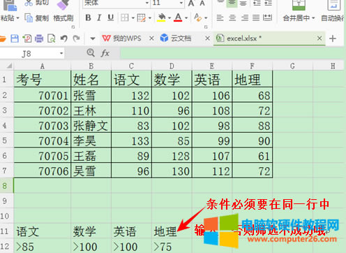 WPS表格如何運用篩選與高級篩選