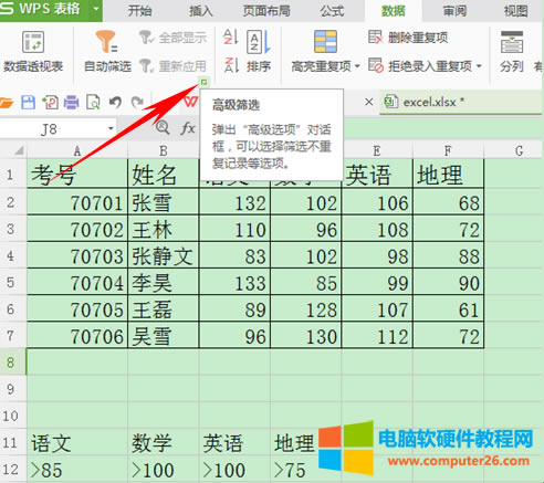 WPS表格如何運用篩選與高級篩選