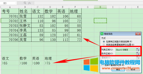 WPS表格如何運用篩選與高級篩選