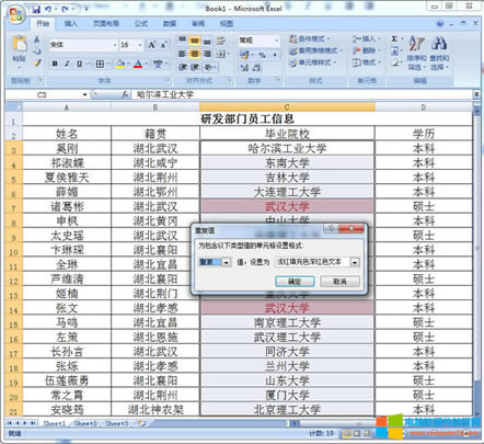 如何在Excel中找出重復(fù)數(shù)據(jù)3