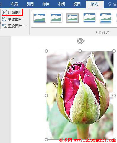 Word 2016 壓縮圖片(一張與多張,兩張以上圖片的選中)