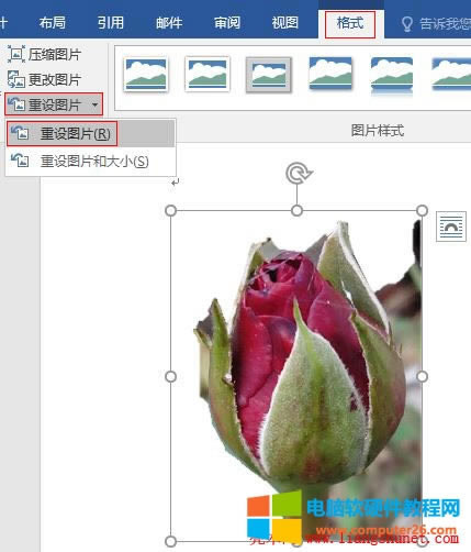 Word 2016 O(sh)DƬü߀ԭȥЧ