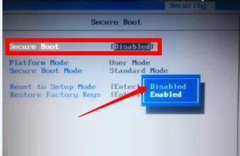 uefi(dng)