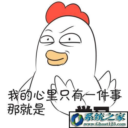 ʲôDNS?xmԼDNS