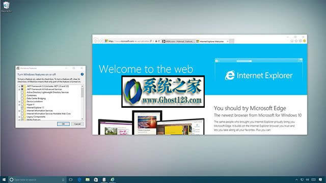 Windows10中internet explorer刪不掉