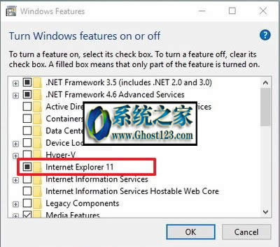 Windows10中internet explorer刪不掉