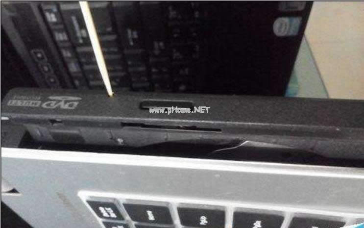 (li)