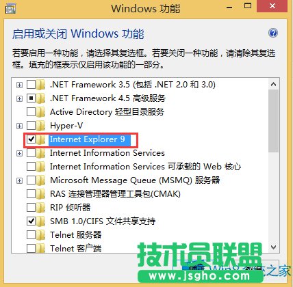 Windows8ôжdIE9g[