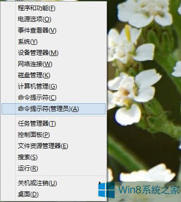 Win8.1ϵyc_ʼo]зôk