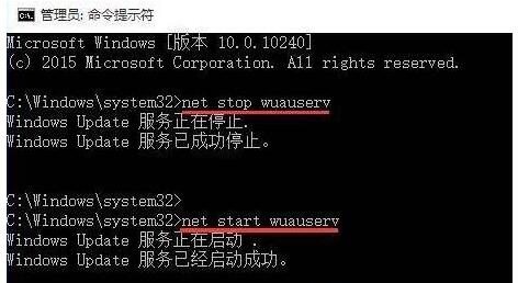 e(cu)`a80240016+3.jpg