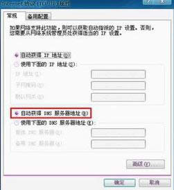 DNSe(cu)`