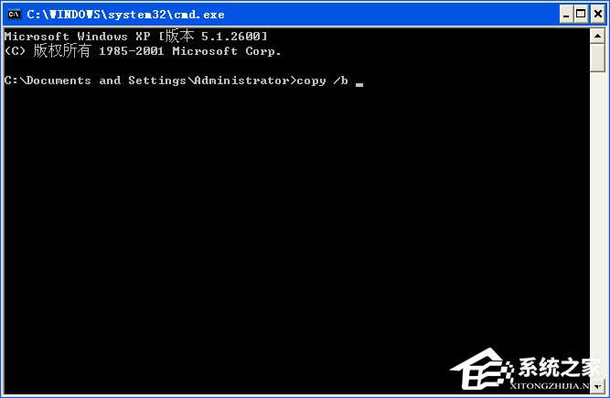 XPϵy(tng)ЈDNô_DN